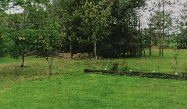 Działka rolno-budowlana Grzawa, ul. Zielonkówka