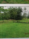 Działka rolno-budowlana Grzawa, ul. Zielonkówka