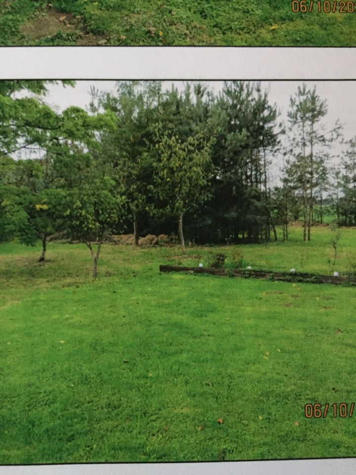 Działka rolno-budowlana Grzawa, ul. Zielonkówka