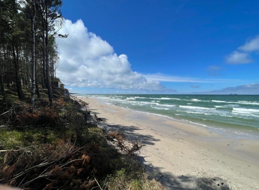 Działka budowlana Perlino. Zdjęcie 6