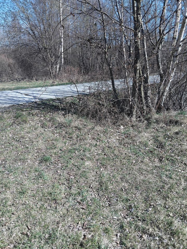 Działka rolna Gilowice Stary Dwór, ul. Działy Dworskie. Zdjęcie 6