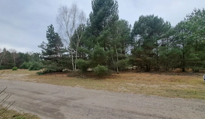 Działka rolno-budowlana Ojrzeń