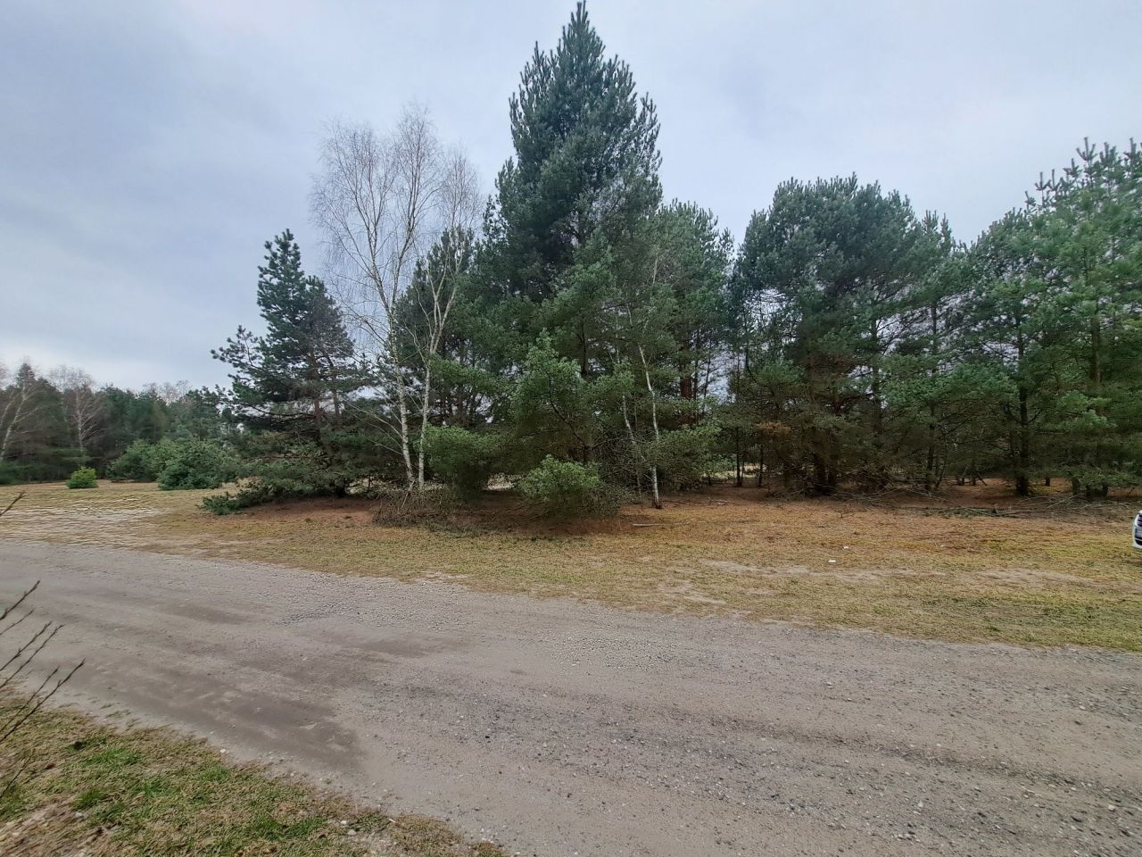 Działka rolno-budowlana Ojrzeń. Zdjęcie 1