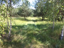 Działka siedliskowa Rędziny. Zdjęcie 2