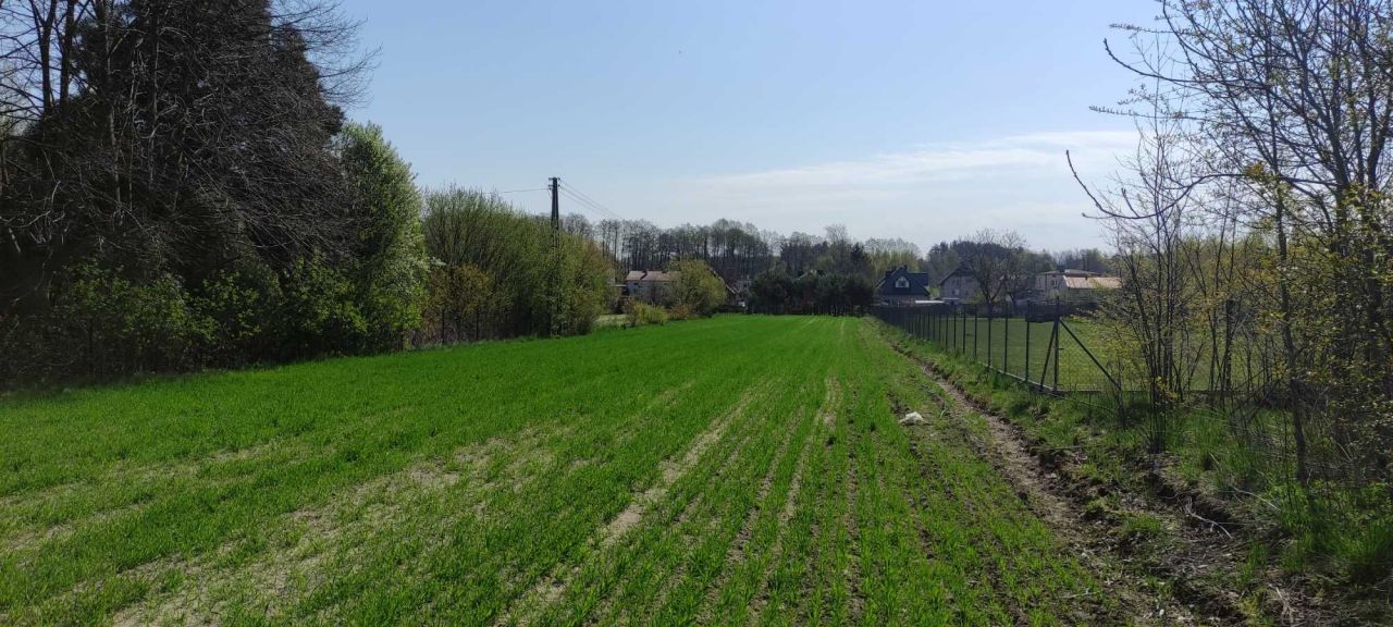 Działka budowlana Dąbrówka Wielka. Zdjęcie 4