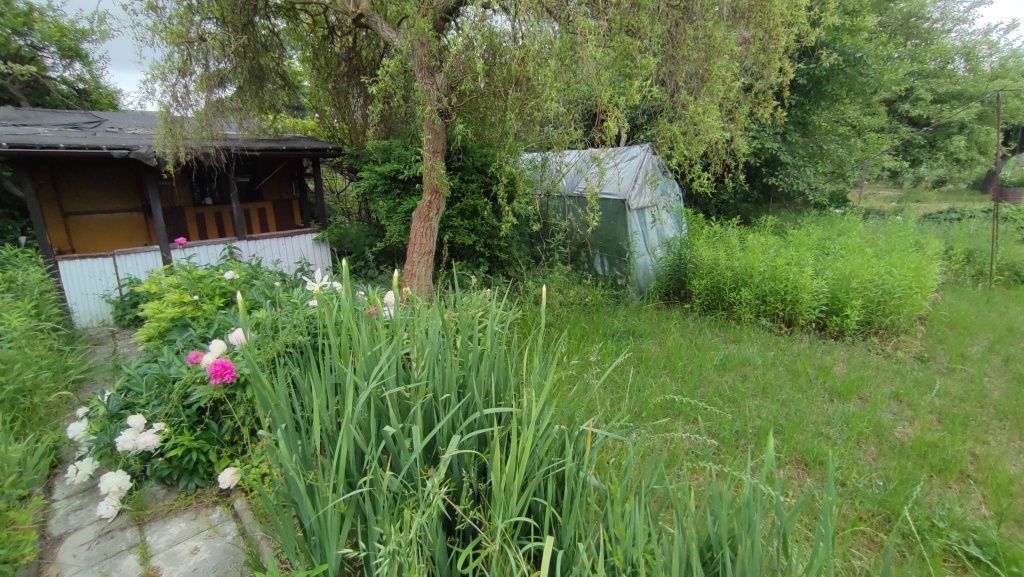 Działka rod Lublin, ul. Działkowa. Zdjęcie 5