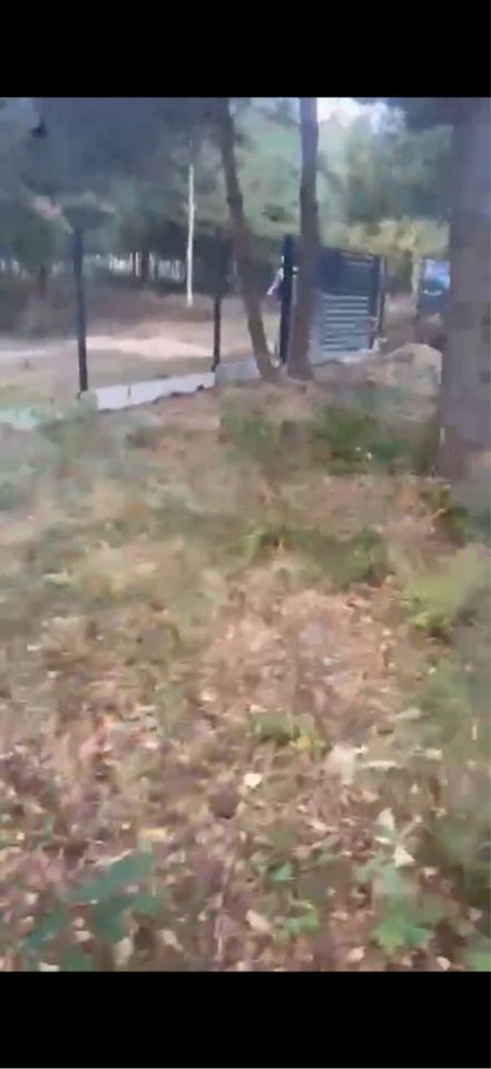 Działka rolno-budowlana Stpice. Zdjęcie 4