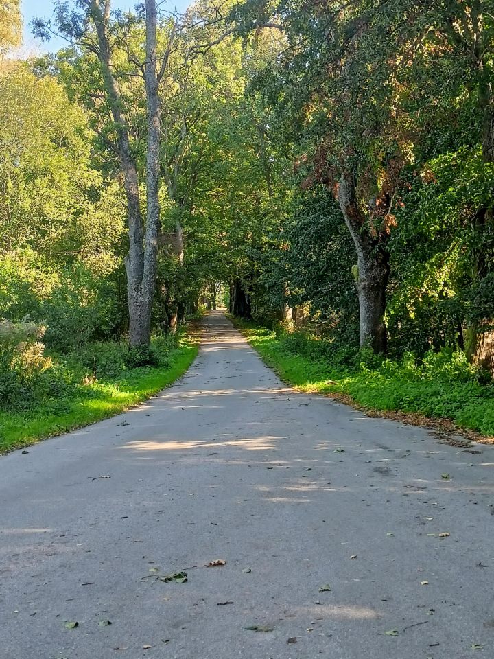 Działka rolno-budowlana Rusy. Zdjęcie 9