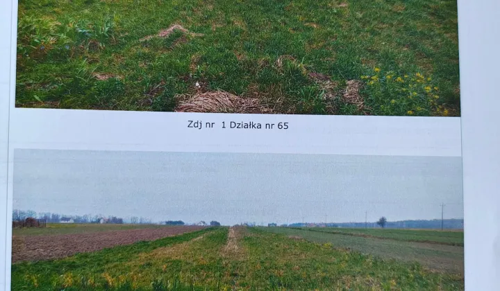 Działka rolna Bratuszyn