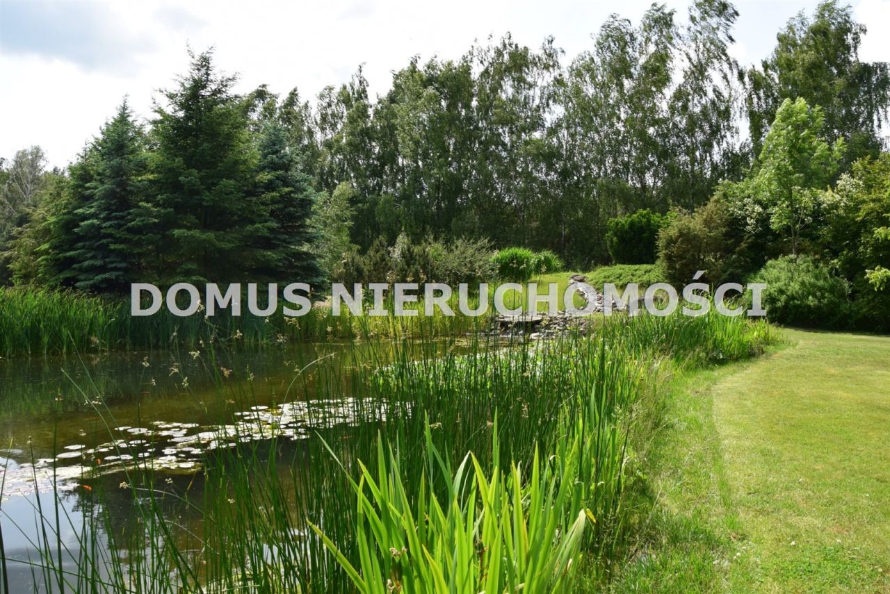 dom wolnostojący, 10 pokoi Ewcin. Zdjęcie 5