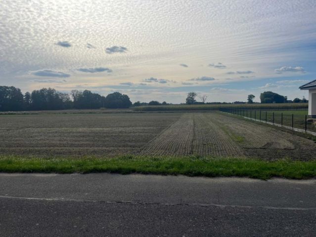 Działka budowlana Krępna. Zdjęcie 1