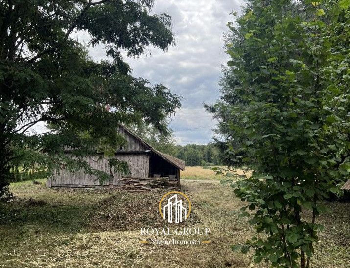 Działka siedliskowa Gołąb. Zdjęcie 7