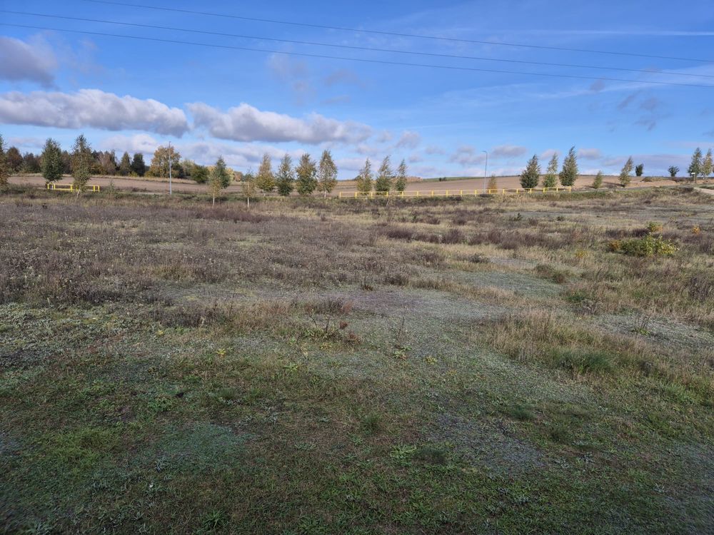 Działka budowlana Tereszewo. Zdjęcie 6