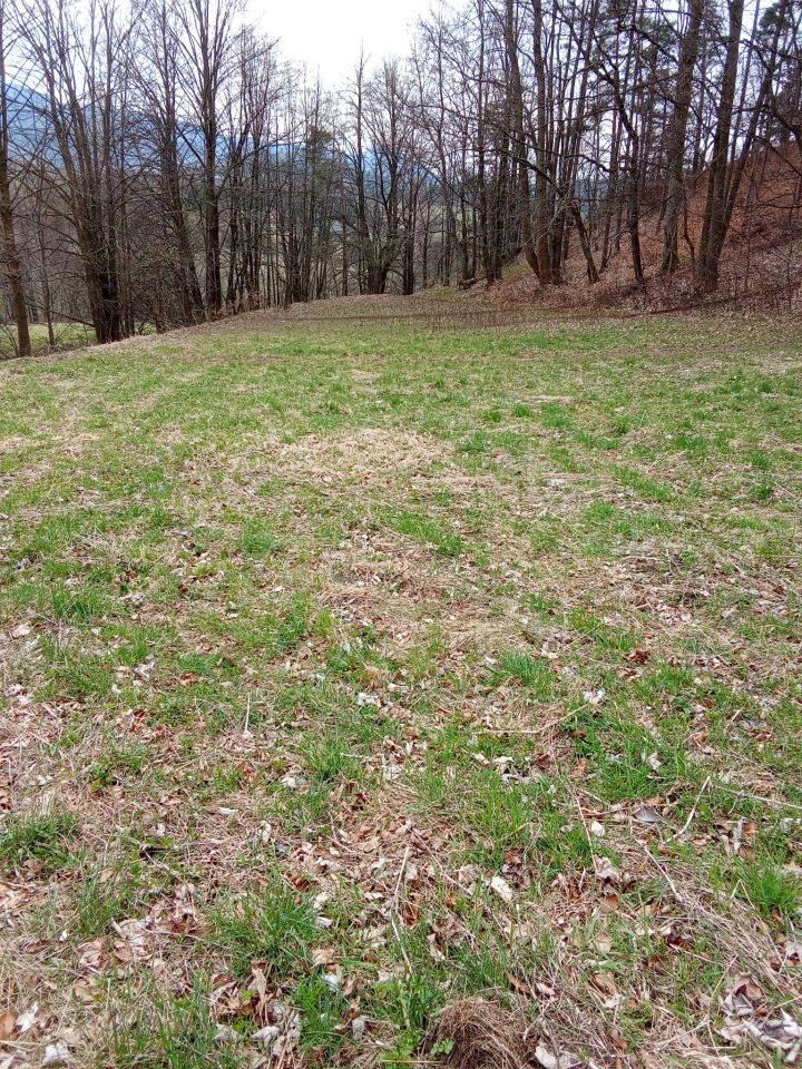 Działka rolna Nowy Waliszów, Nowy Waliszów. Zdjęcie 3