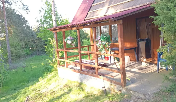 dom letniskowy Wójcin