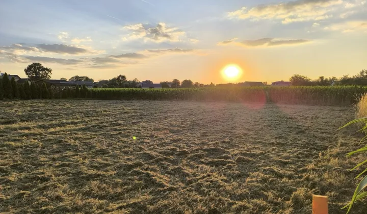 Działka budowlana Kędzierzyn-Koźle, ul. Kamienna