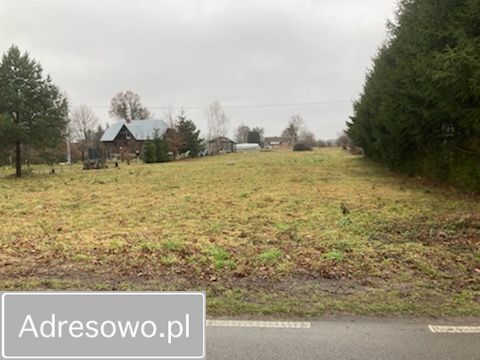 Działka budowlana Nadrybie-Dwór. Zdjęcie 1