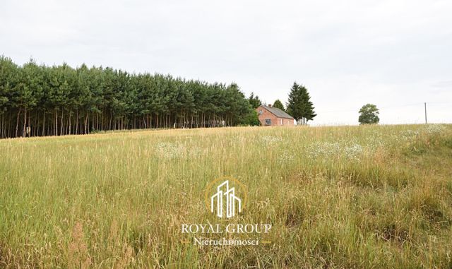 Działka siedliskowa Górka. Zdjęcie 8