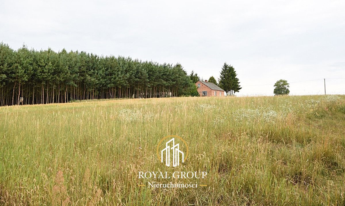 Działka siedliskowa Górka. Zdjęcie 8