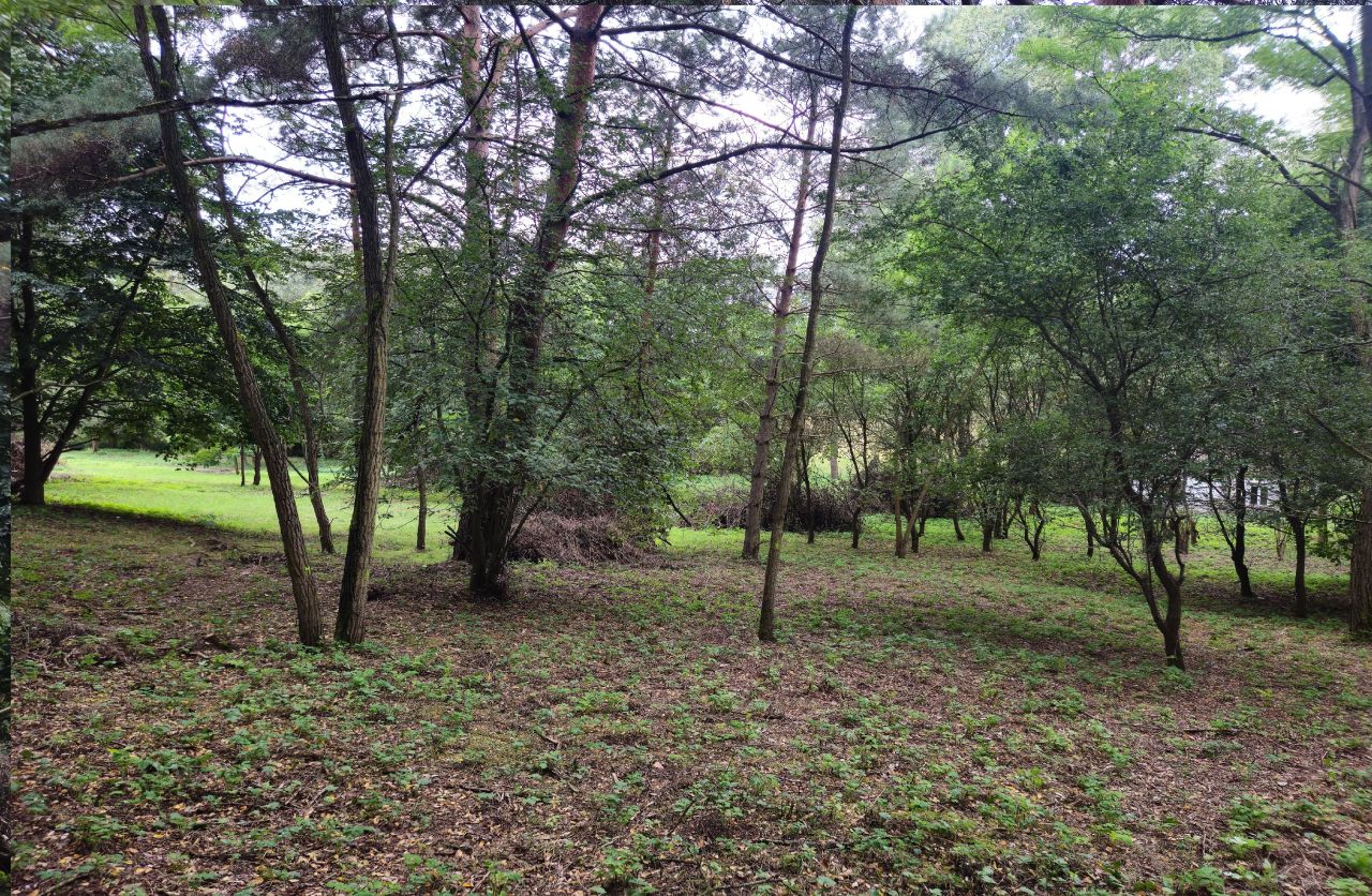 Działka rolno-budowlana Zgoda. Zdjęcie 3