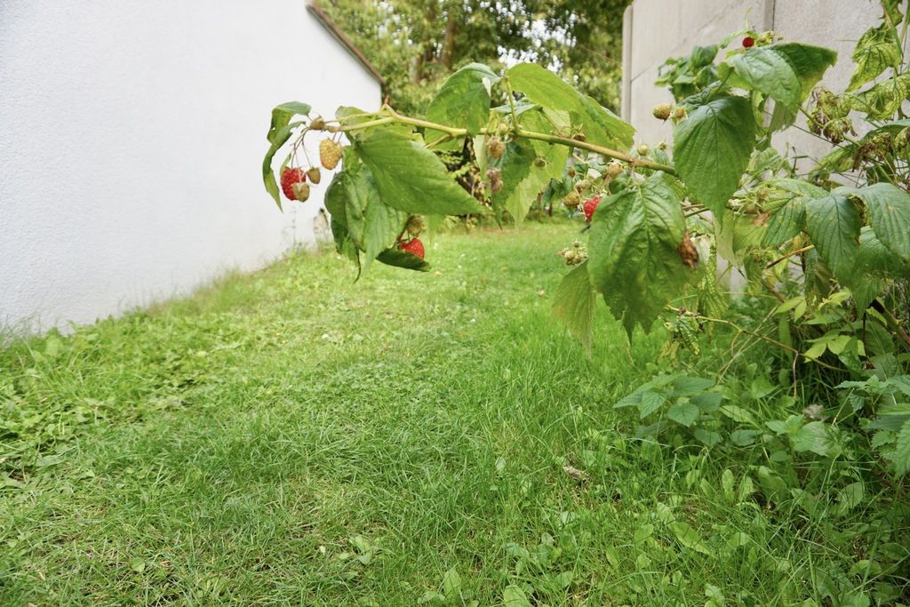 bliźniak, 3 pokoje Kartuzy, ul. Prokowska. Zdjęcie 13