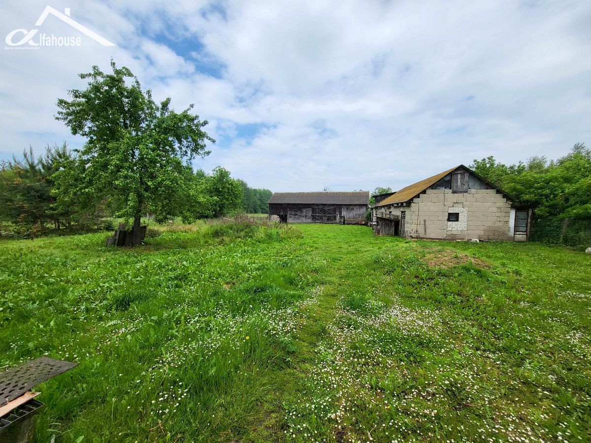 dom wolnostojący, 4 pokoje Karolinów. Zdjęcie 5