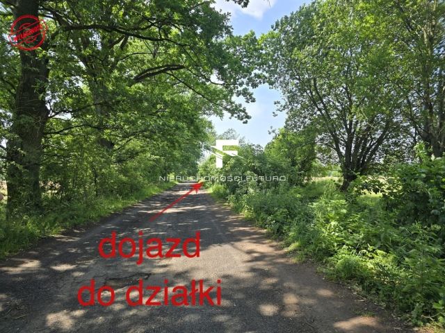 Działka rolna Modrzewo. Zdjęcie 4