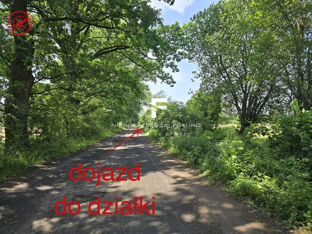 Działka rolna Modrzewo. Zdjęcie 4