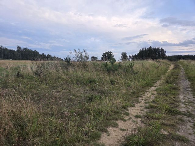 Działka budowlana Rokocin, ul. Leśna. Zdjęcie 1