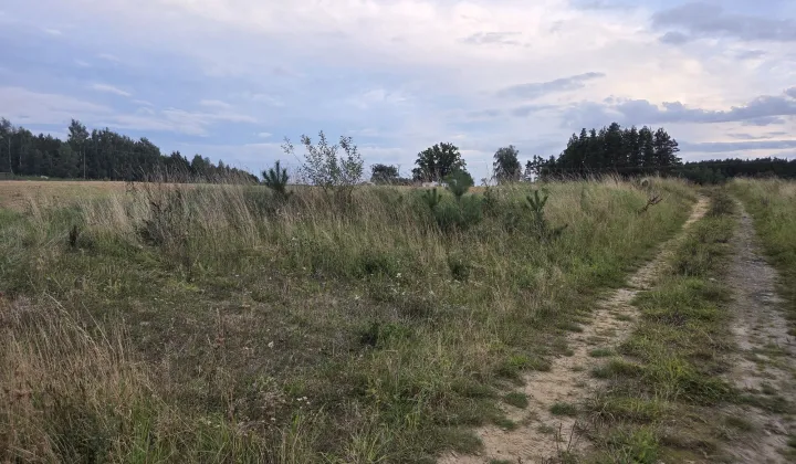 Działka budowlana Rokocin, ul. Leśna
