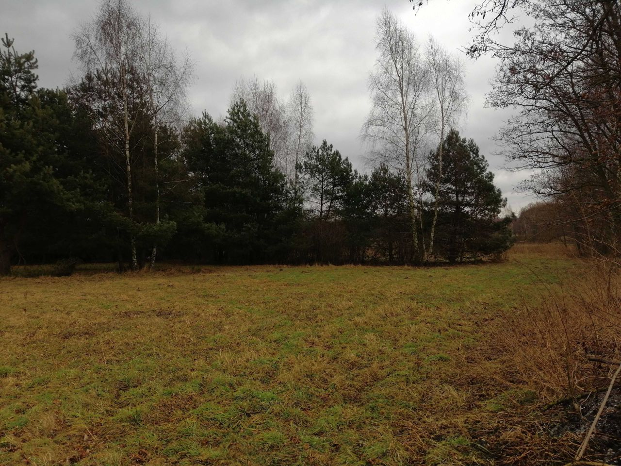 Działka budowlana Jurki. Zdjęcie 2