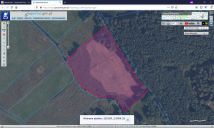 Działka rolna Gumieniec. Zdjęcie 4