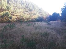 Działka rolna Podmieście. Zdjęcie 1