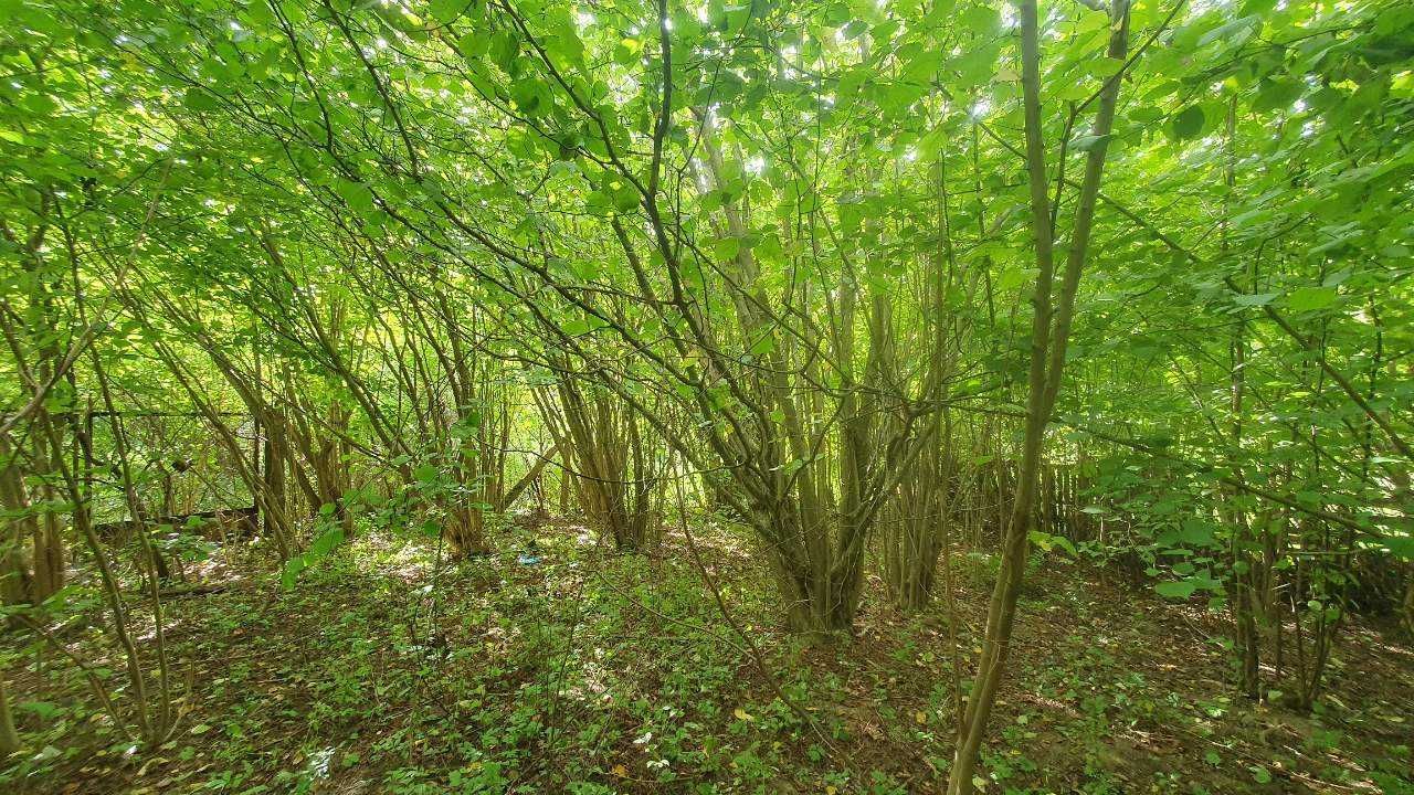 Działka rod Słupsk. Zdjęcie 5