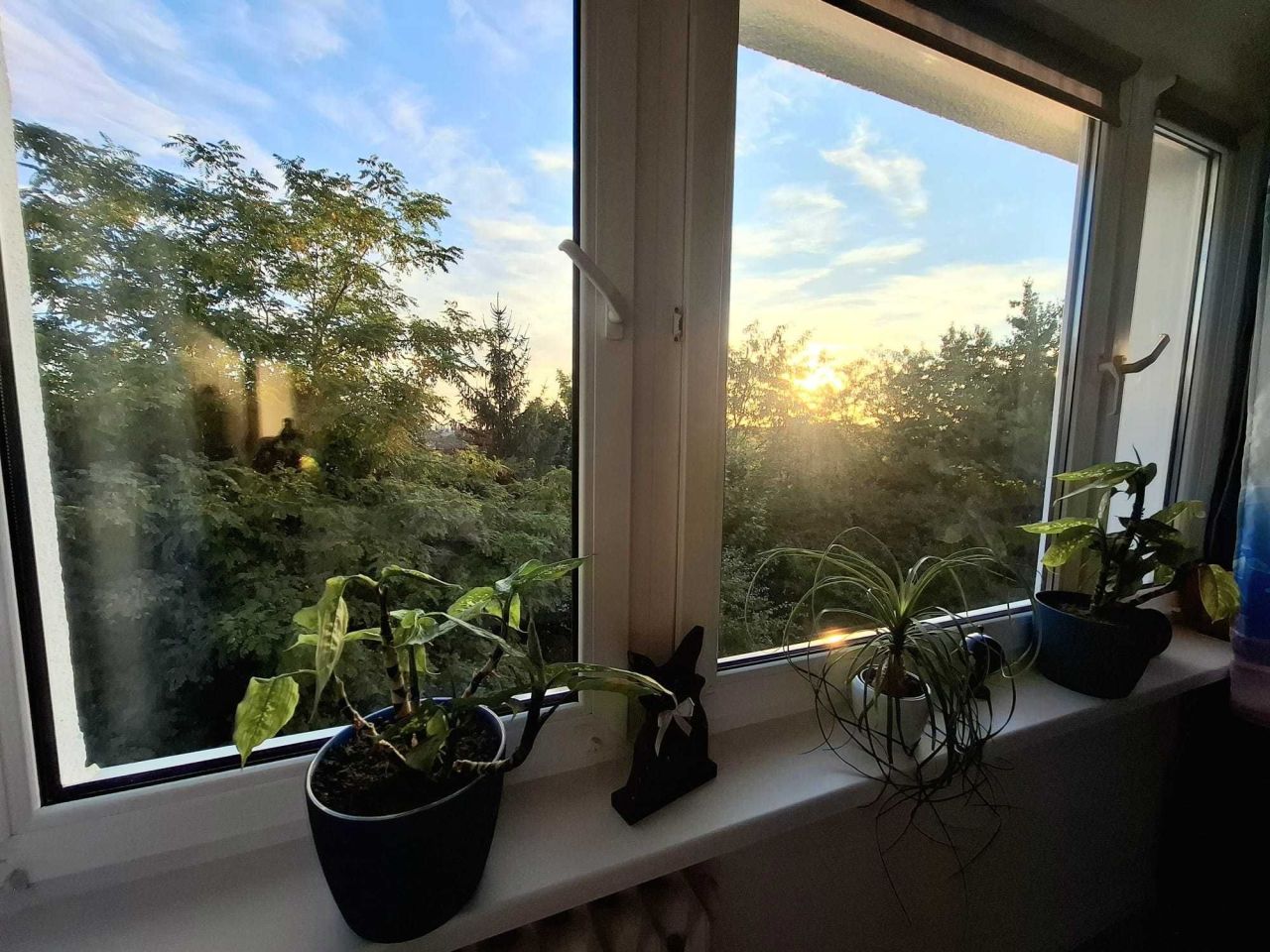 Mieszkanie 2-pokojowe Dzierżoniów, os. Różane. Zdjęcie 3