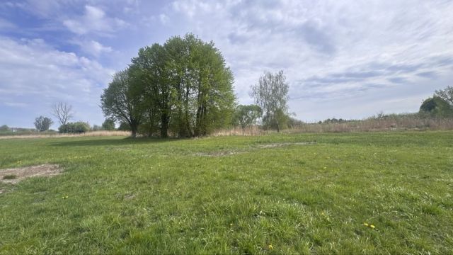 Działka rolno-budowlana Bożejewiczki. Zdjęcie 1