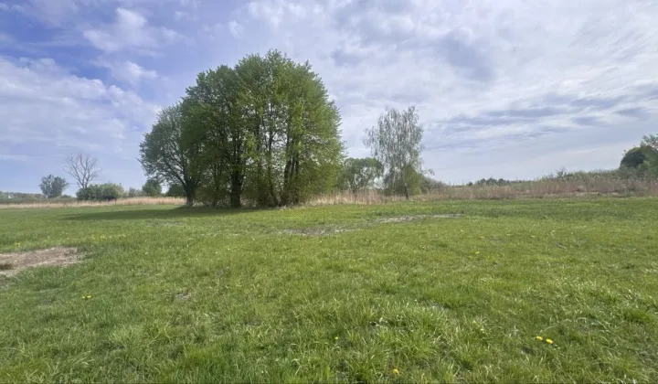 Działka rolno-budowlana Bożejewiczki