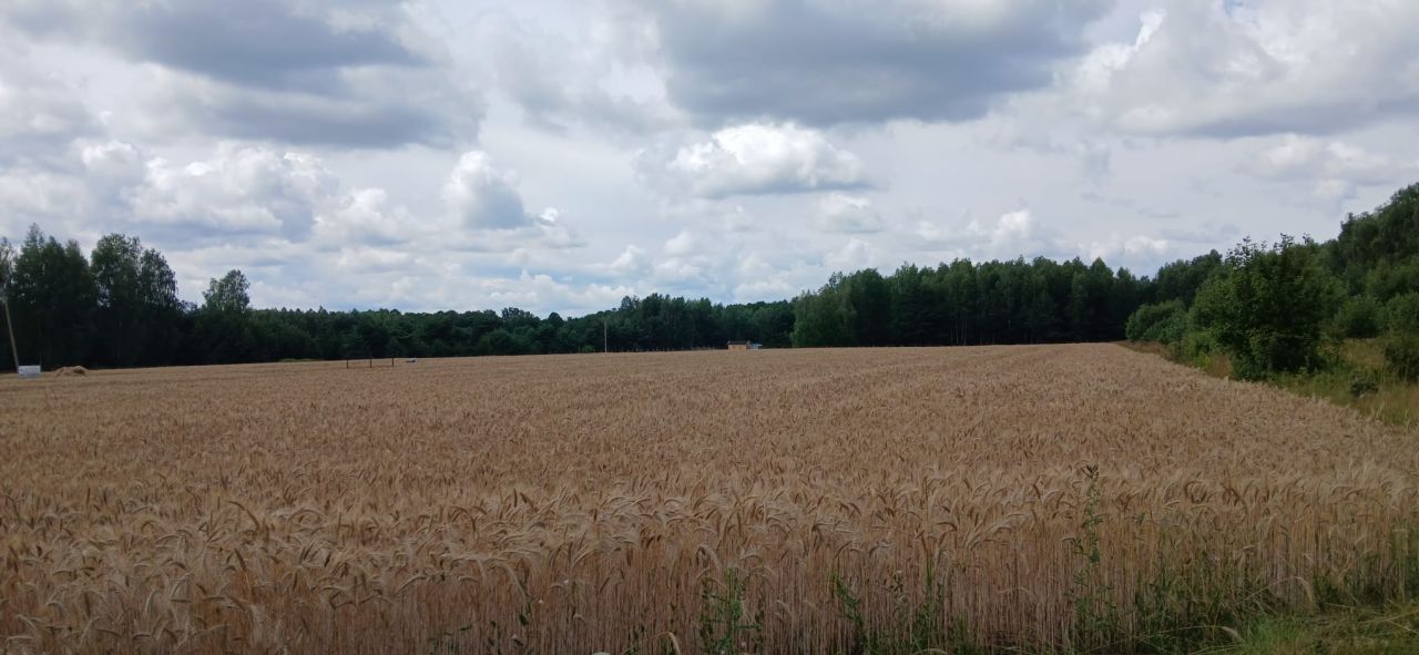 Działka budowlana Boża Wola. Zdjęcie 4