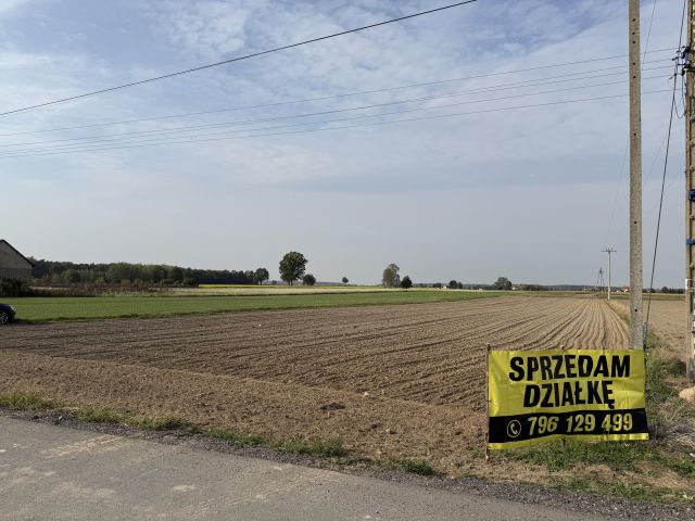 Działka budowlana Nepomucenów, Nepomucenów. Zdjęcie 1