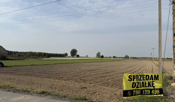 Działka budowlana Nepomucenów, Nepomucenów