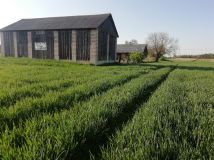 Działka budowlana Nowogród. Zdjęcie 1