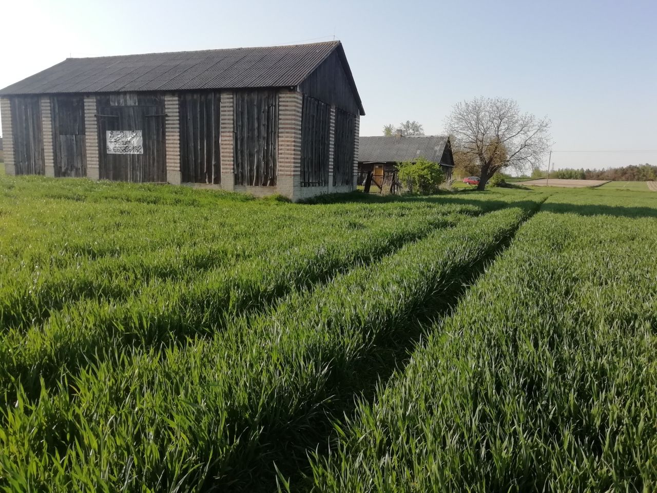 Działka budowlana Nowogród. Zdjęcie 2