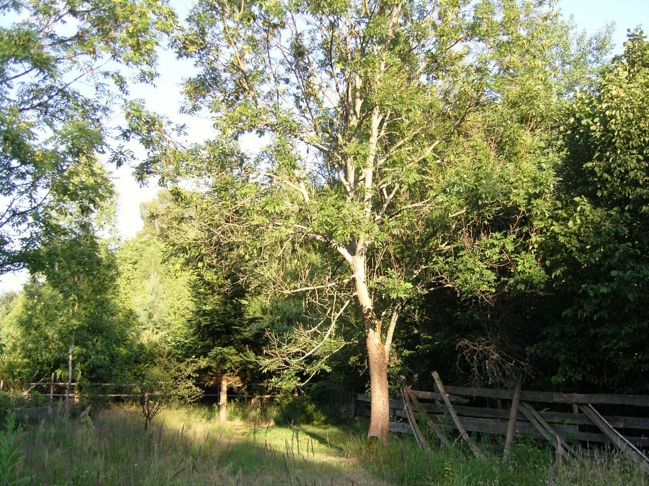 Działka inwestycyjna Kalenne. Zdjęcie 14