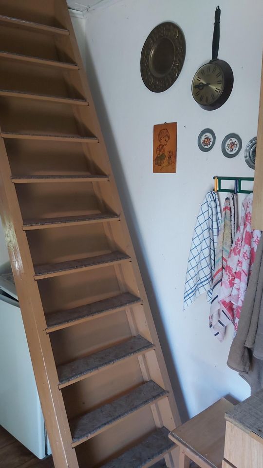 Działka rekreacyjna Opole, ROD Kopciuszek ul. Częstochowska. Zdjęcie 7