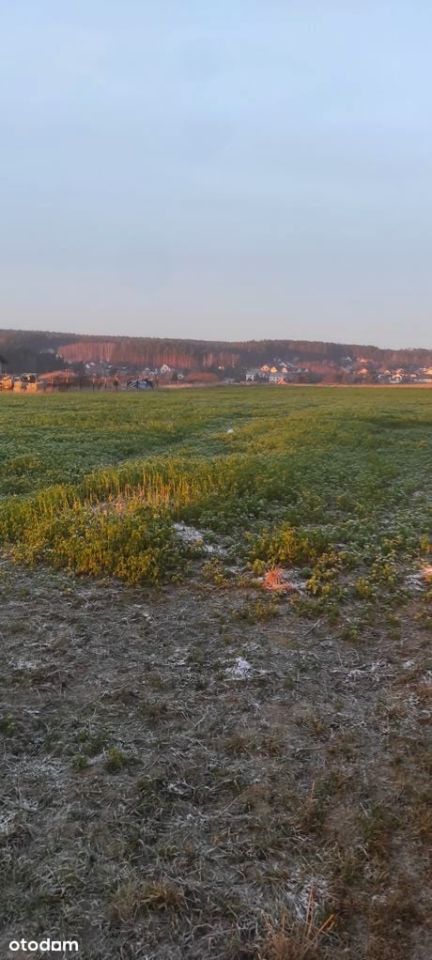 Działka budowlana Luzino, ul. Rumiankowa. Zdjęcie 8