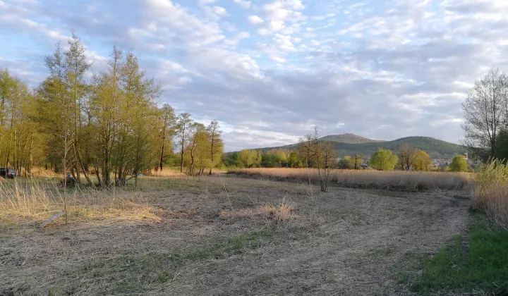 Działka rolna Rogów Sobócki