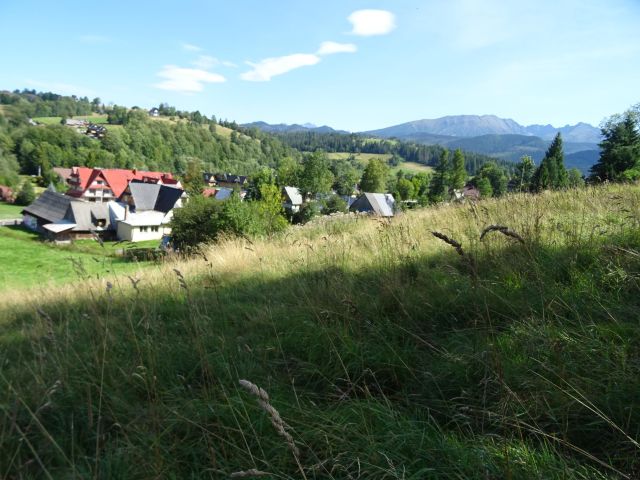 Działka budowlana Zakopane Mrowce, ul. Mrowce. Zdjęcie 4