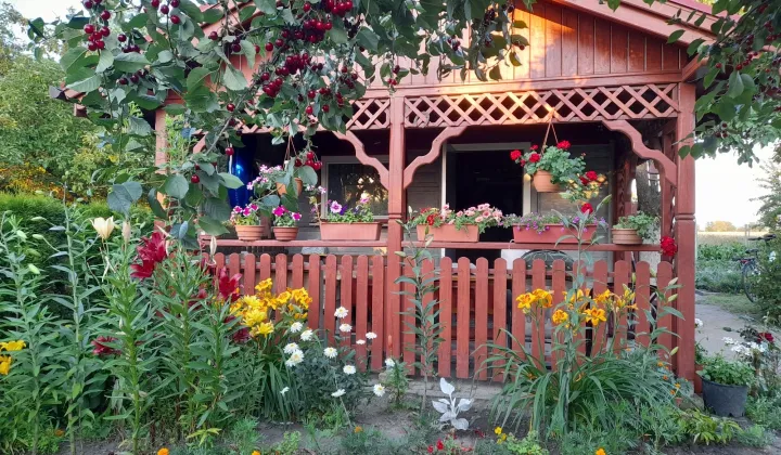 Działka rod Grodzisk Wielkopolski, ul. Działkowa