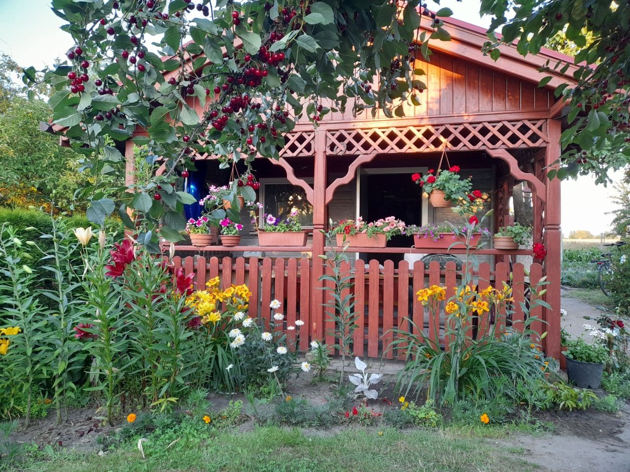 Działka rod Grodzisk Wielkopolski, ul. Działkowa