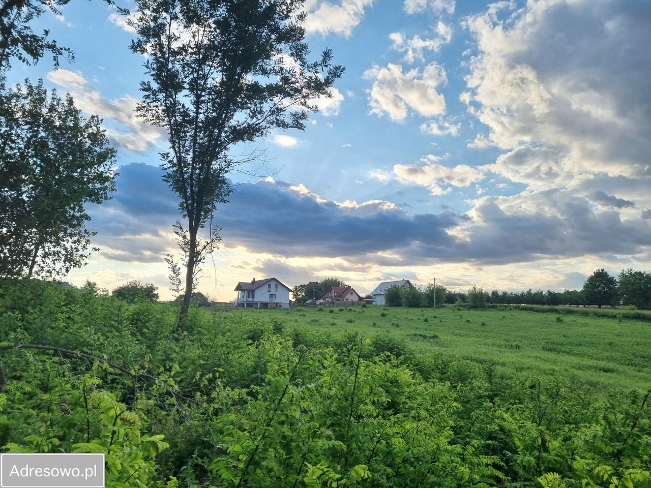 Działka Sandomierz Mokoszyn, ul. Pogodna. Zdjęcie 2